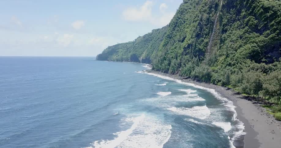 A dense forest covered beach has waves crashing ashore