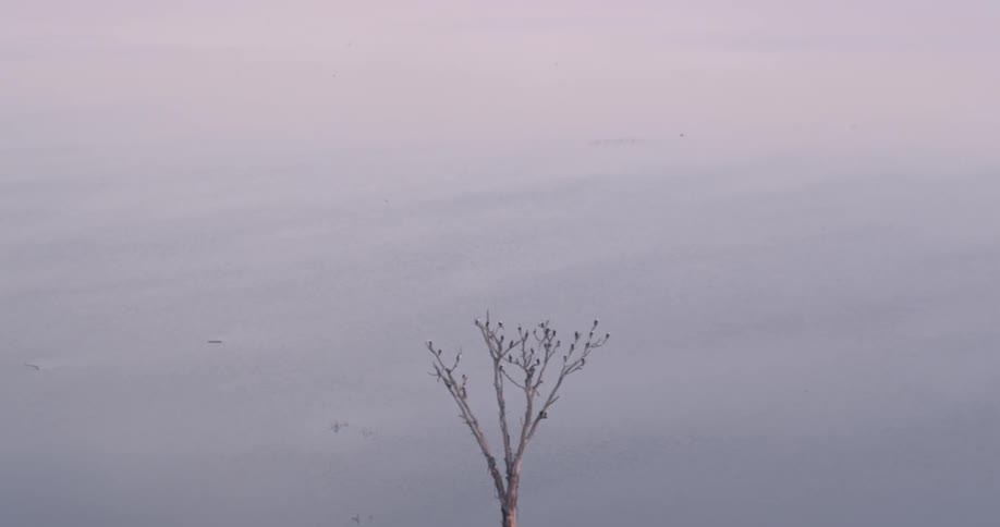 A tree stands beneath a cloudy sky