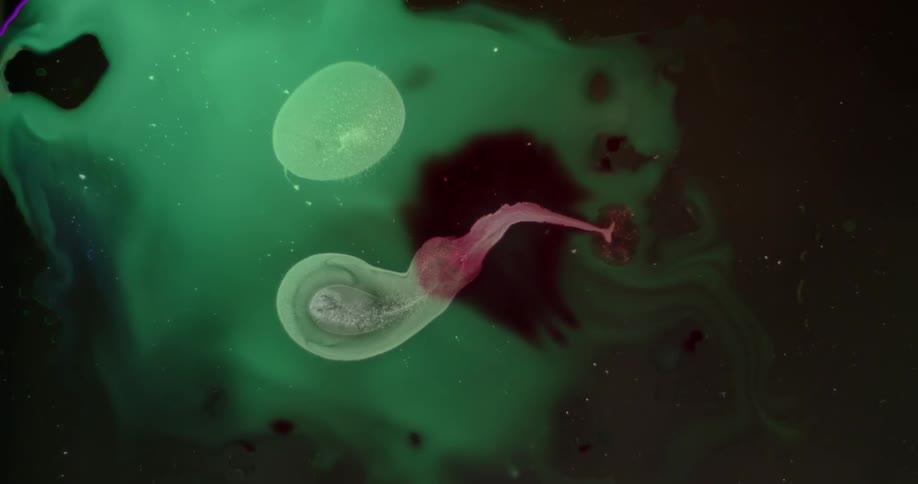 The water is green with some different color swirls