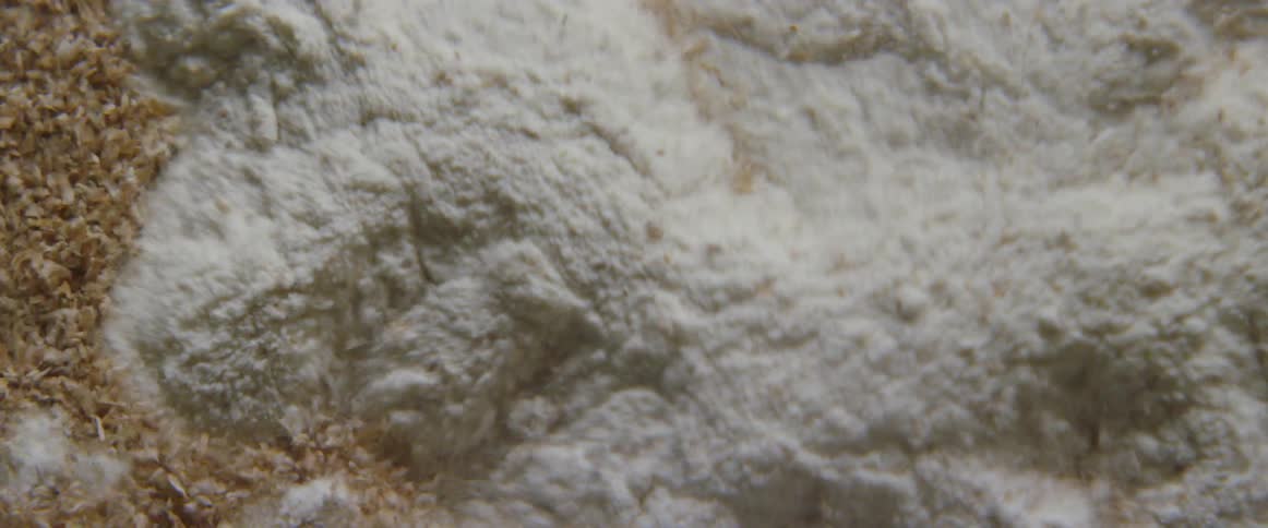 Grains of sand sift away in the wind