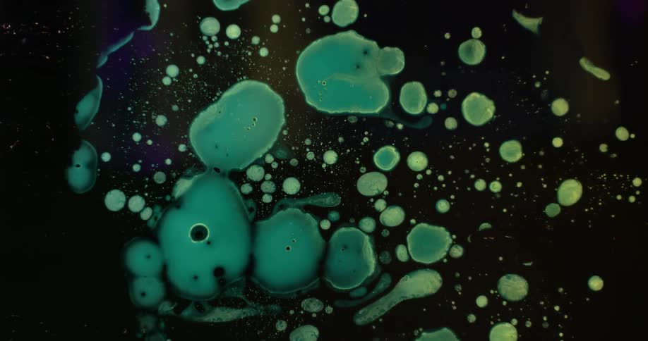 The liquid has green splotches floating on top