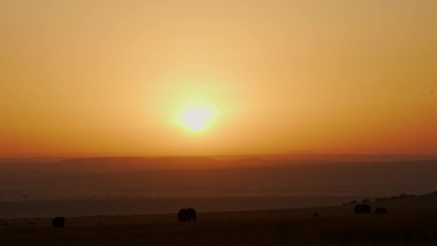 The sun is setting in the orange sky