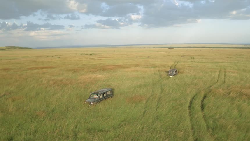Cars drive through tall grass fields