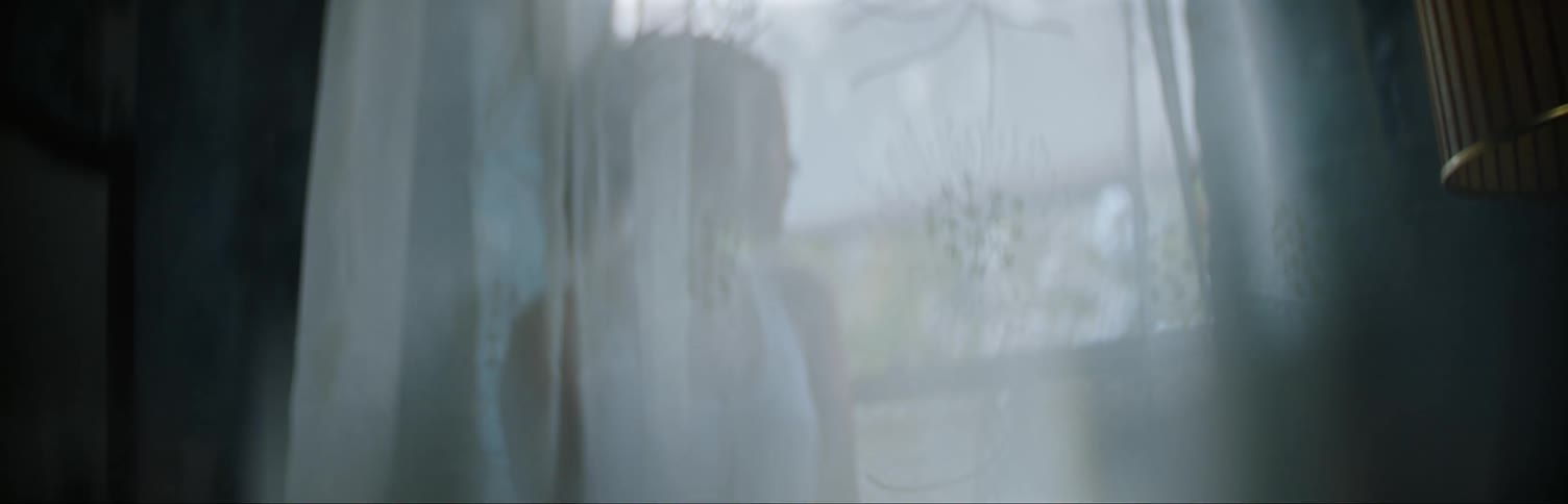 A woman stands behind a sheer curtain looking out the window