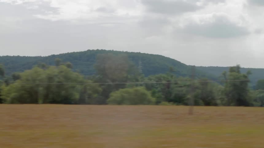 The power lines right right over the trees