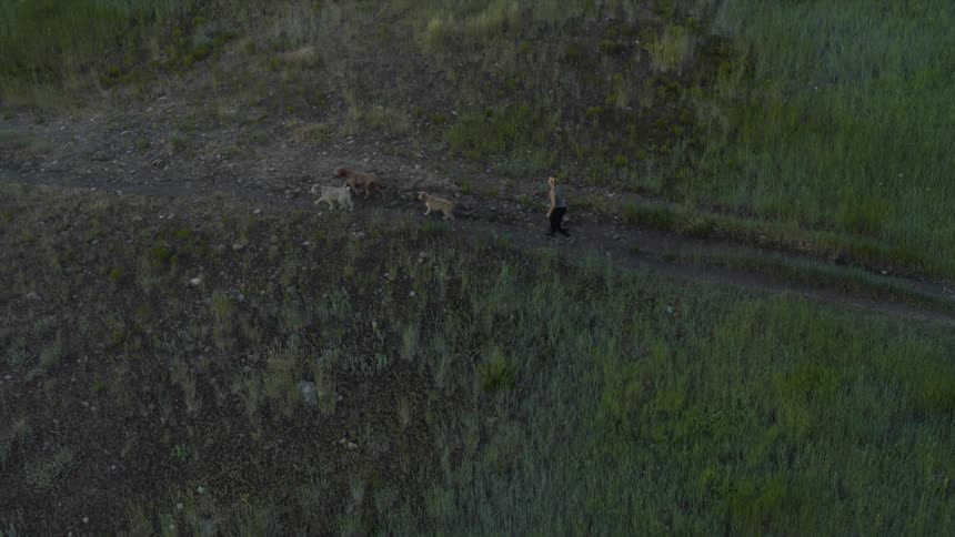 Woman walking on trail with three dogs