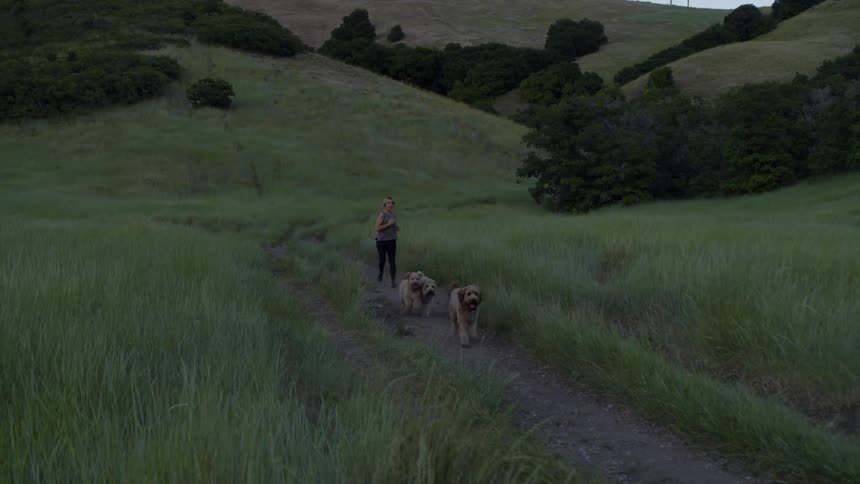 Woman runs down a path with three dogs