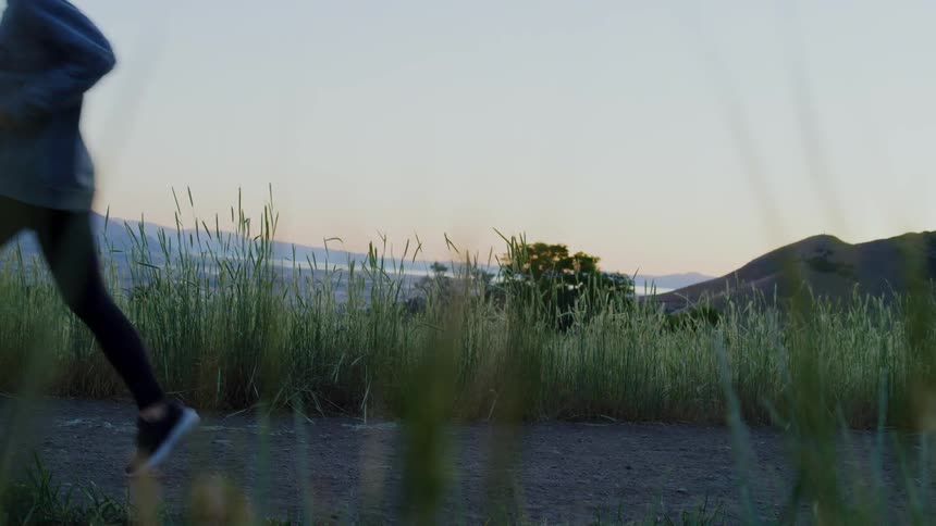 A woman and her dogs are jogging on dirt path in a coastal setting at dusk