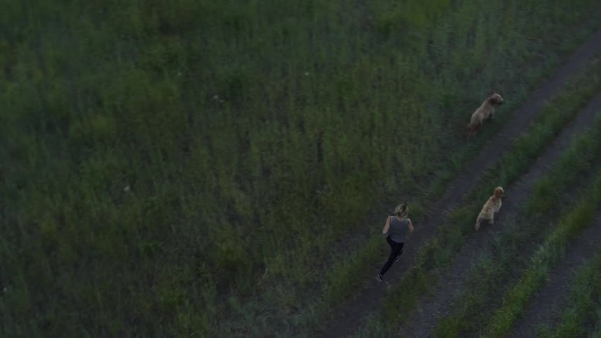 Woman jogs with dogs across a grassy field