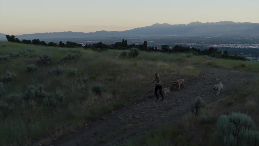 Woman runs down a path with three dogs