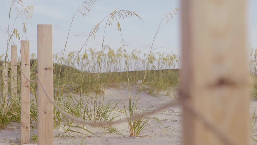 A wood barrier fence is erected on the beach