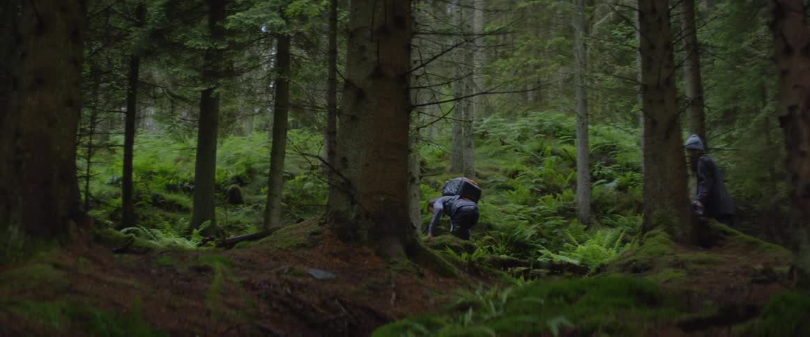 A hiker balancing on a fallen tree in the forest slips off