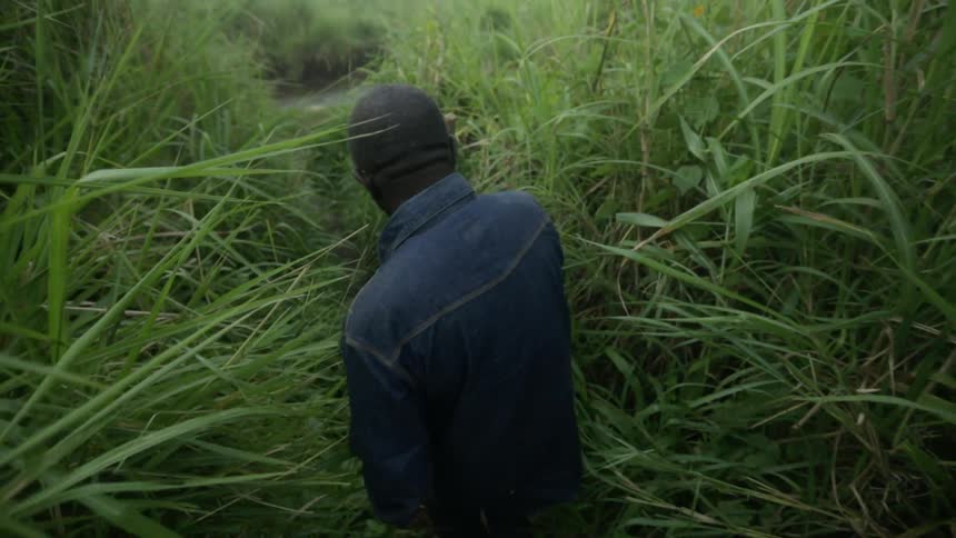 Man walks through very tall grass using a stick