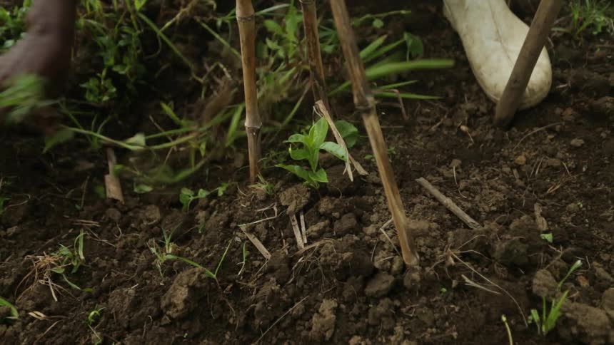 A person digging thru dirt and grass