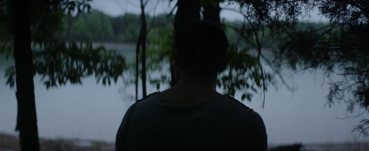 A man walks under trees towards the water
