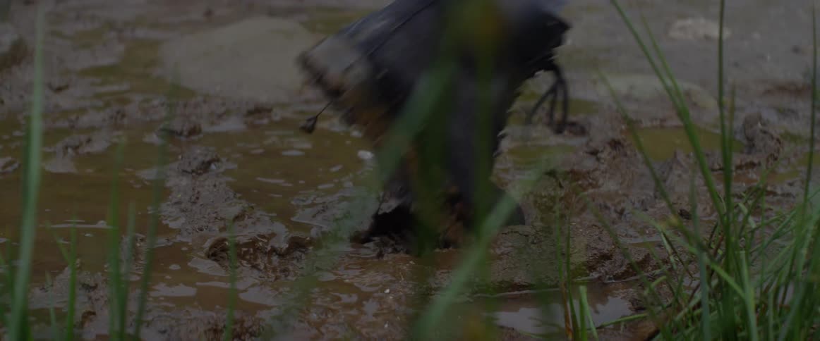 People wearing boots walk through muddy ground
