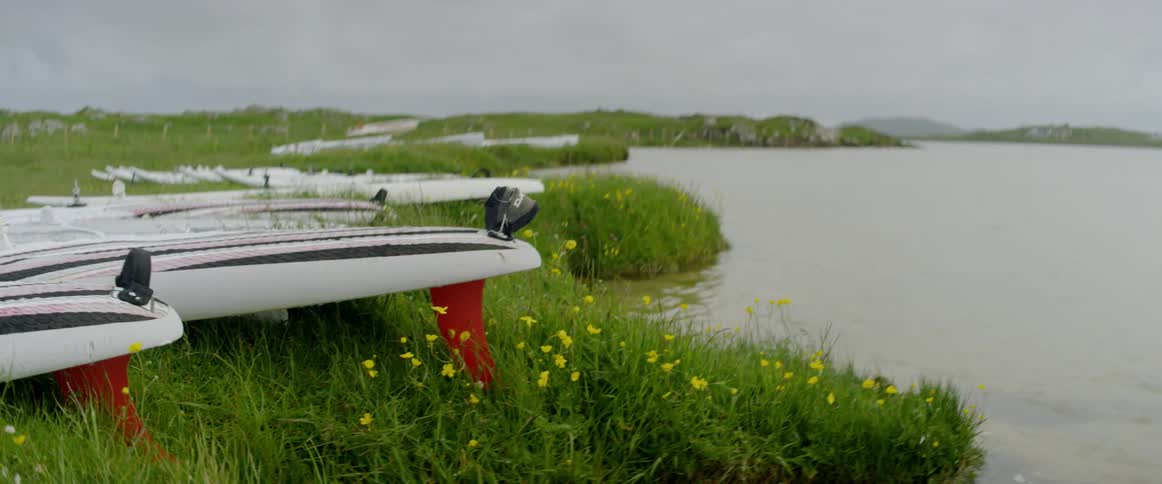 A lake shore dotted with yellow flowers