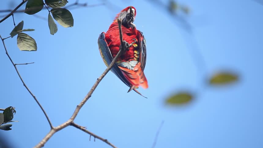 A bird sitting on a branch