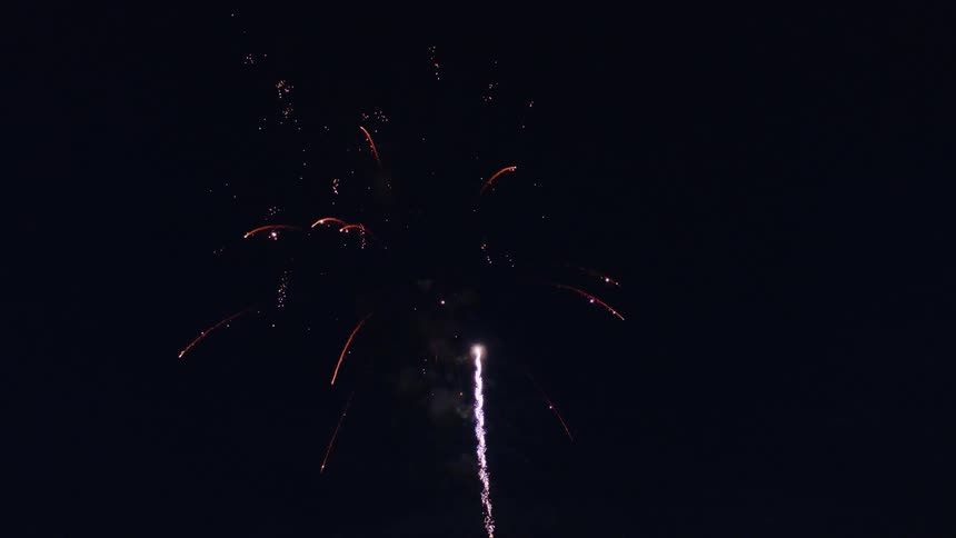 Fireworks explode in the sky