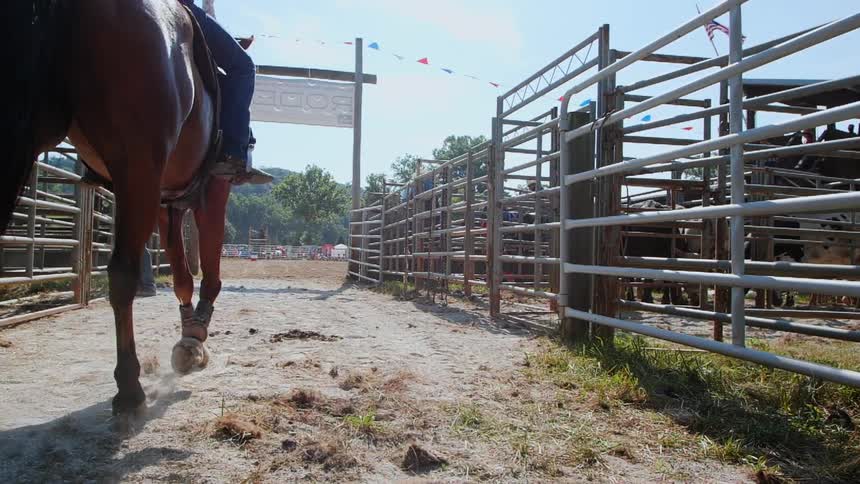 A horse gallops by a fenced in pen