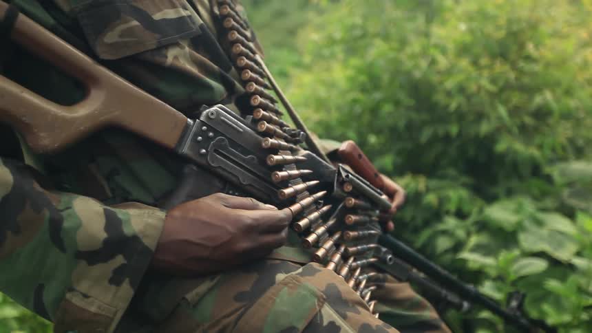 Armed soldier standing in the forest
