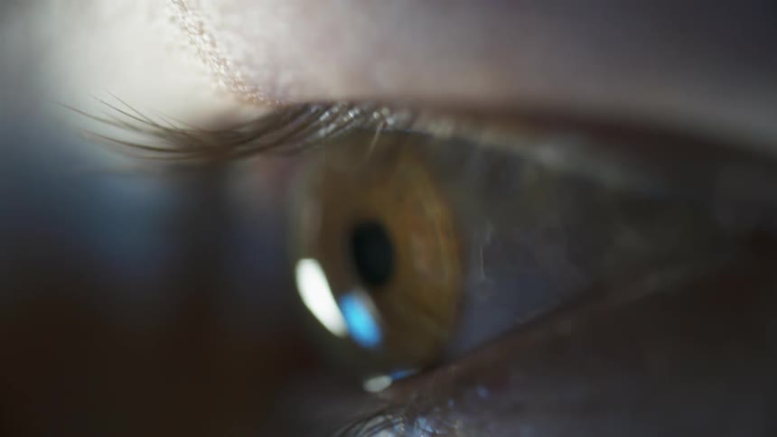 A light from a screen is reflecting in an eye