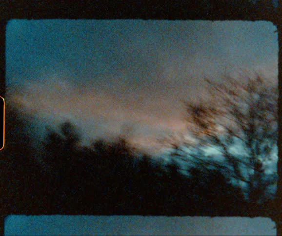 A vehicle drives by trees at dusk