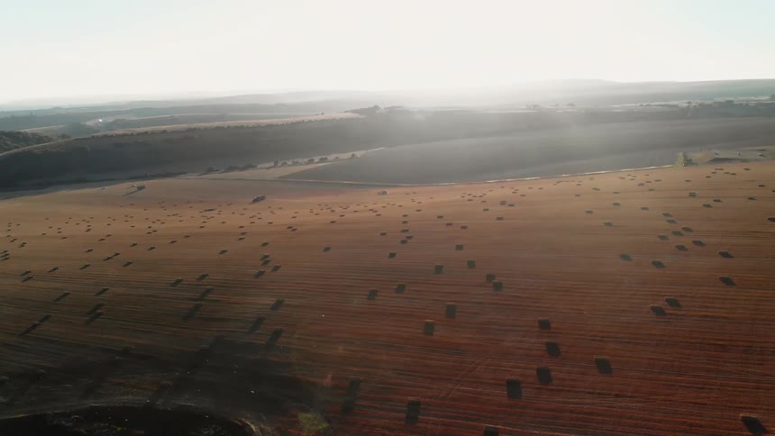 Bales of hay cover a rural field