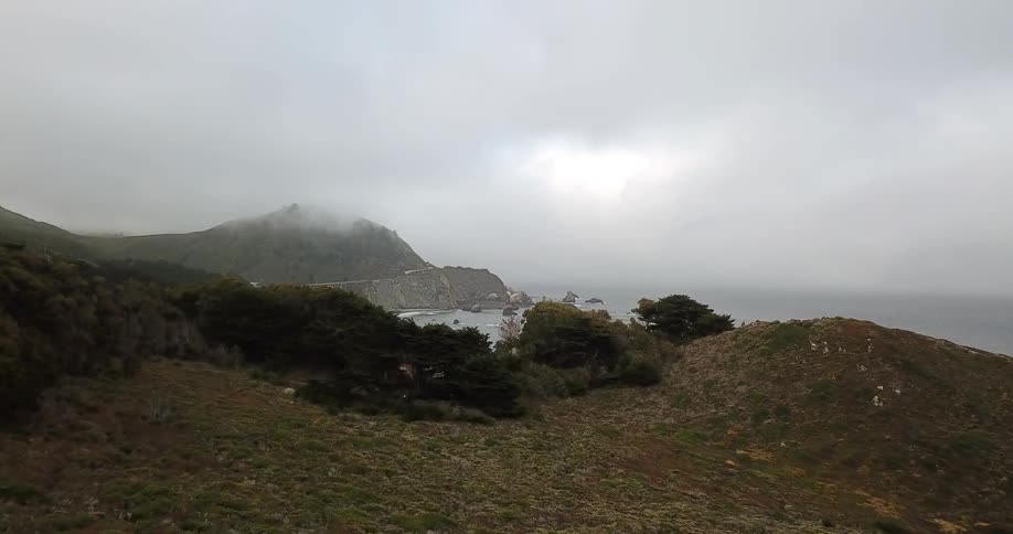 Fog has settled on a hillside overlooking the ocean