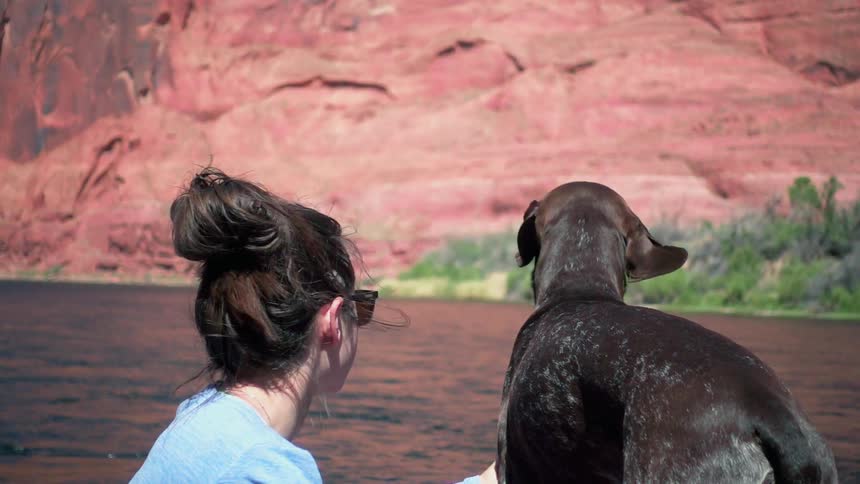 A woman and her dog look out towards a lake