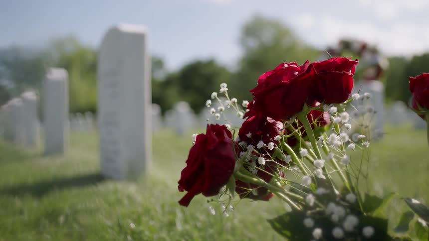 Roses on cemetery gravestone