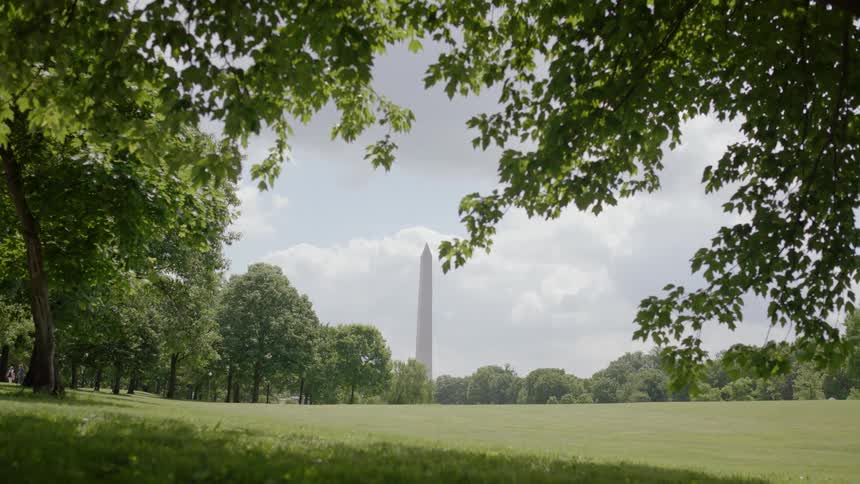 Grassy field surrounded by trees with the washington monument in the background