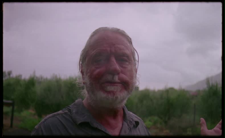 A bearded man looks up at rain