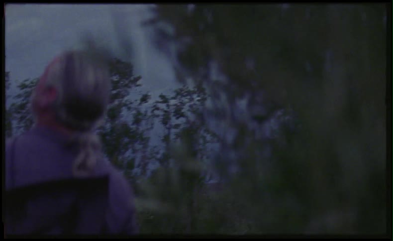 Man looking toward the sky surrounded by trees