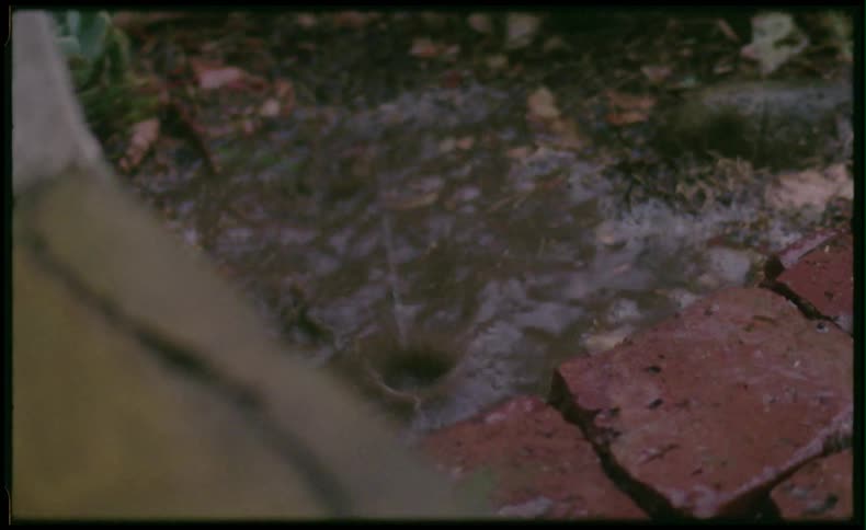 A puddle near a brick path