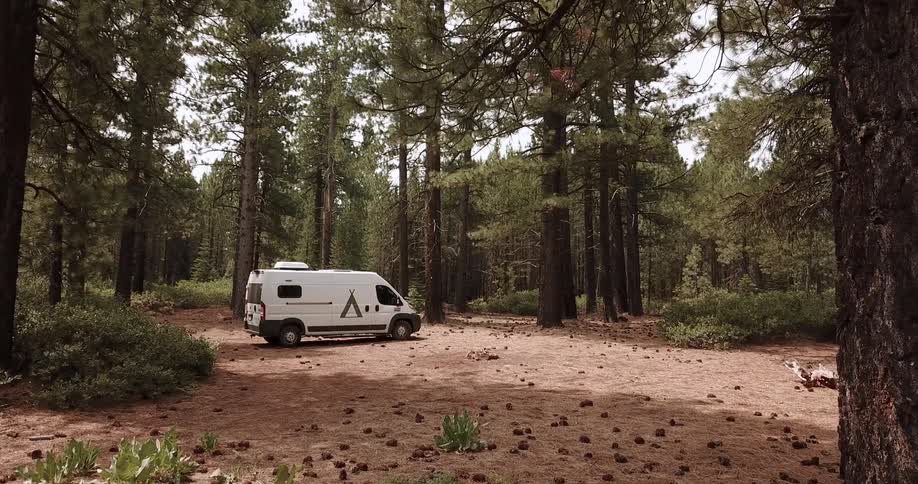 A van is parked in a forest