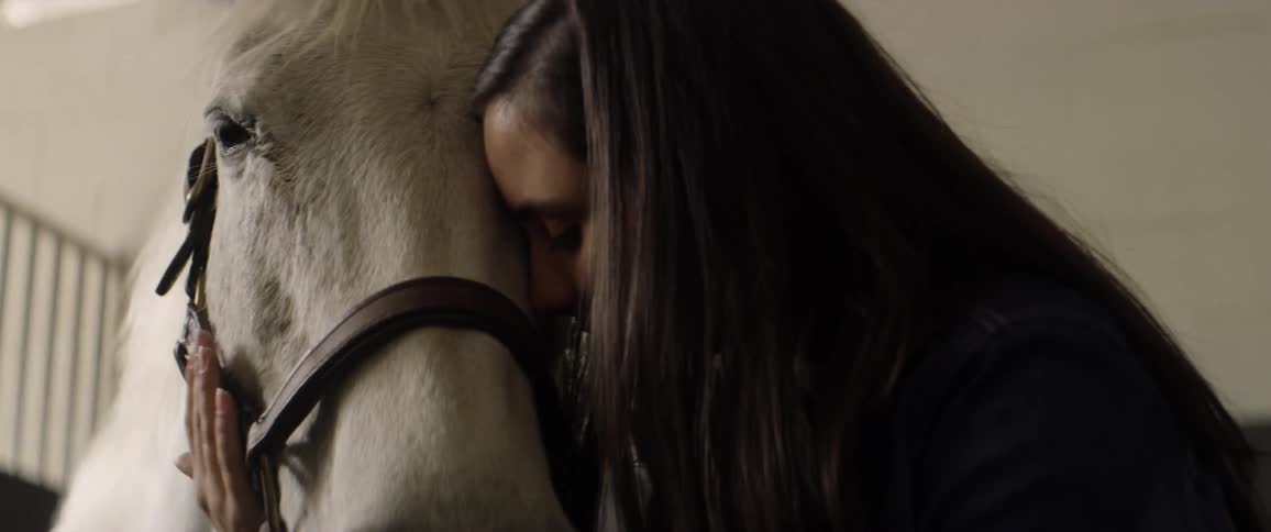 A woman pets and hugs a horse