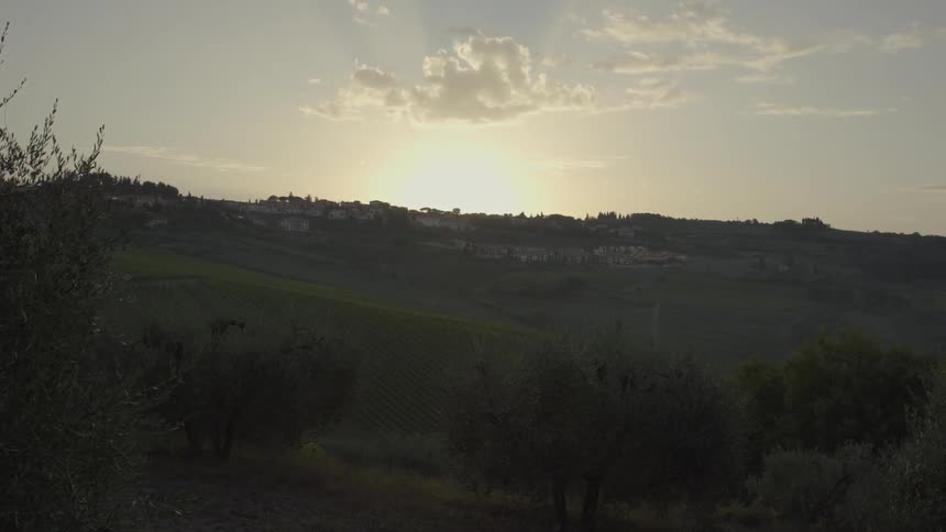 Sun setting beyond a grassy hill