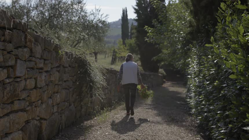 Woman carrying  a plant walking on a trail alongside a cobblestone wall
