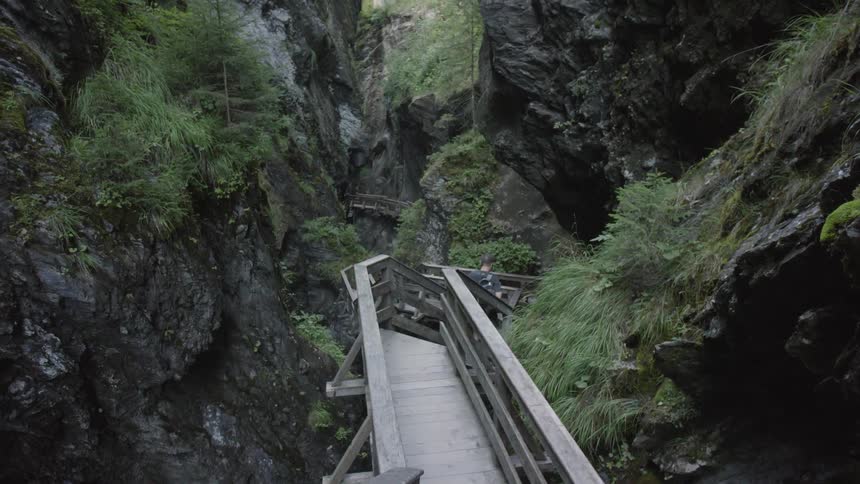 Man walking down a wooden walkway in the middle of the forest