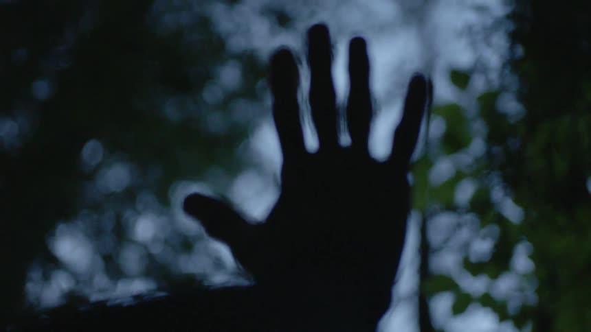 Hand reaches out towards trees at dusk