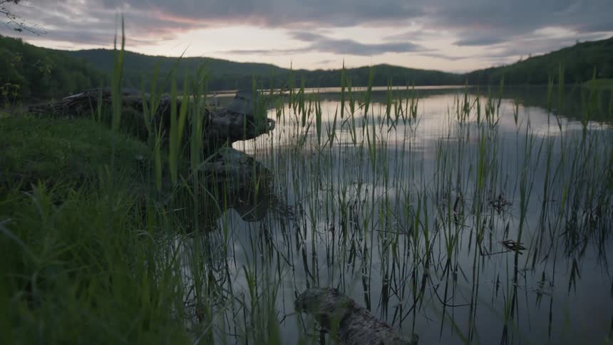 Pond at dusk