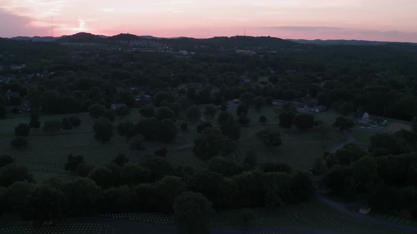 Trees cover a landscape at dusk