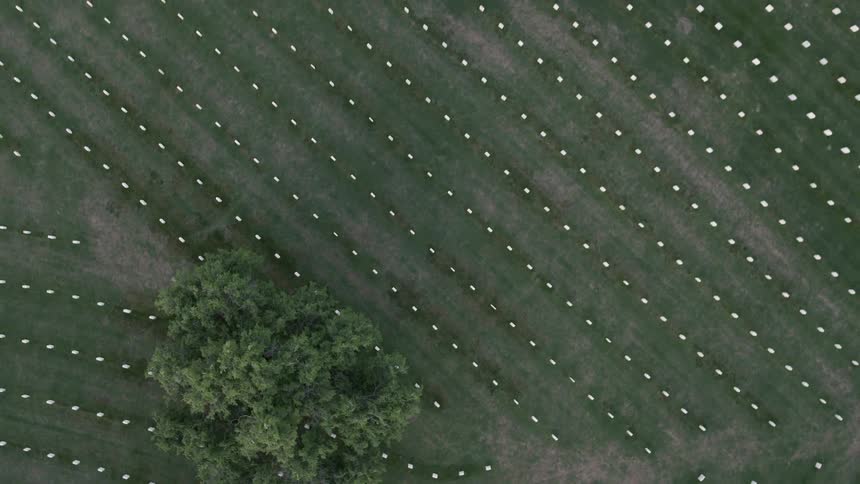 A large cemetery