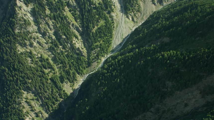 Trees and plants cover the mountain and valley