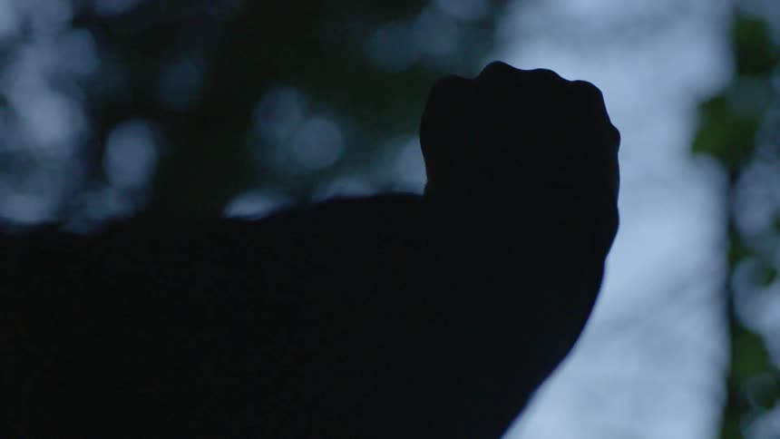 Man closes his outstretched hand and lowers it outside at dusk