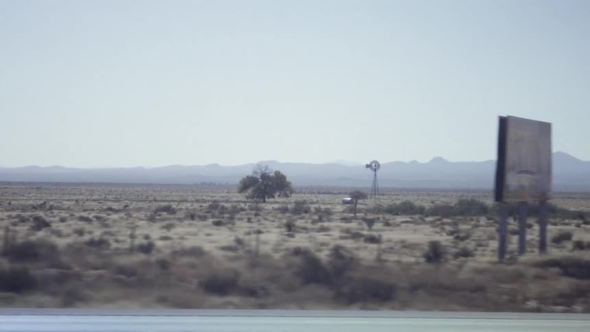 A tree is standing alone in the desert
