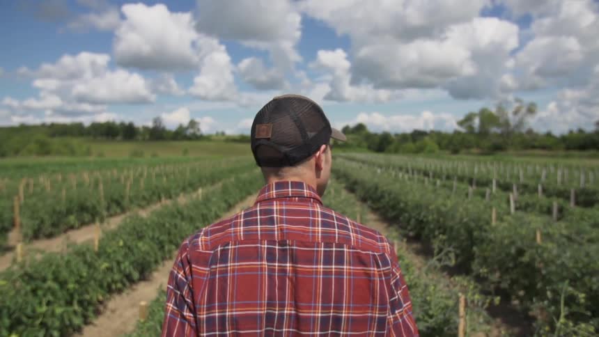 A man walks through a farm