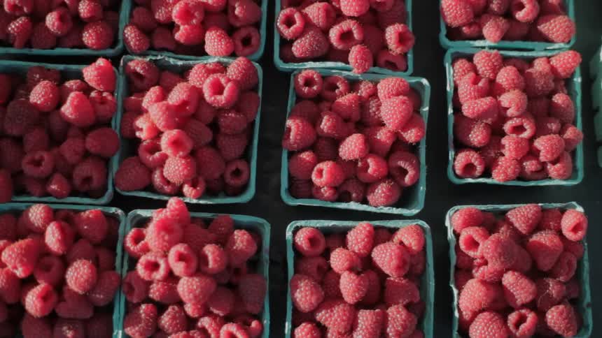 Raspberries sitting in uncovered pint containers