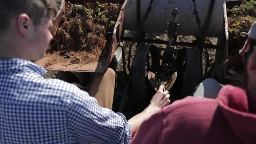A man and a young boy sit on a slow-moving farming machine processing some type of crop